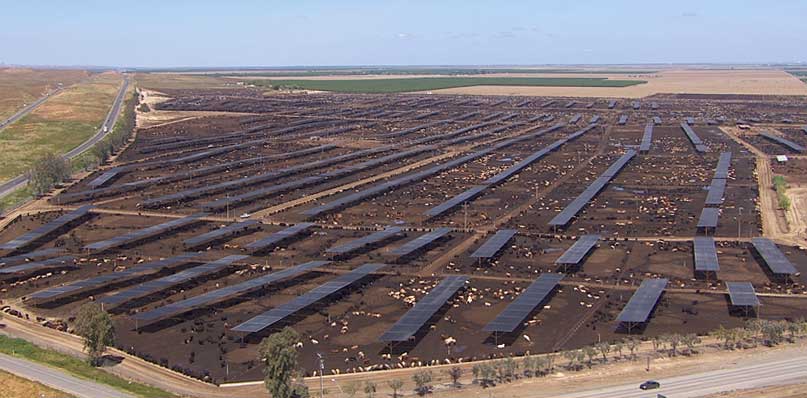 Aerial of Harris Ranch Feed Lot