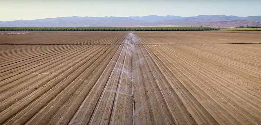 Field of empty rows being irrigated