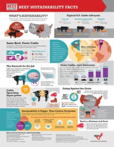 Beef Sustainability Facts Infographic